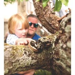 Birds to Spot Story Sack with Mini Bird Feeding Pizza Kit