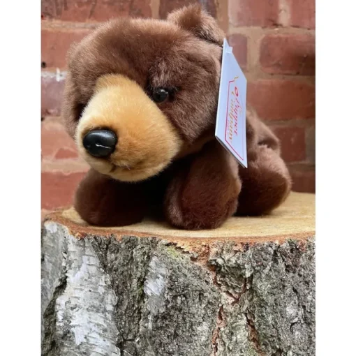 Brown Bear, Brown Bear What Do You See? Story Sack