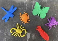 Bug and Magnifier Party Bag