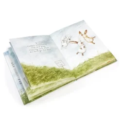 Bunnies by the Bay Every Hare Counts Book