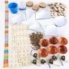 Cosy Maths Shed Starter Kit 36901 (Direct Shipping Item)