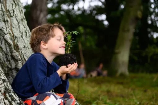 Den Kit Plant A Tree Kit