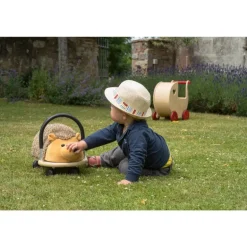 Dog Plush Wheelybugs (Direct Shipping)