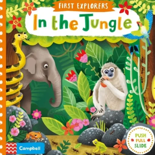 First explorers In the Jungle Board Book