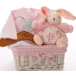 Gift Basket For Baby Girl
