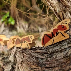 Lanka Kade Ant