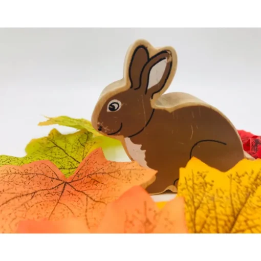 Lanka Kade Brown Rabbit
