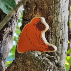 Lanka Kade Orangutan