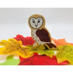 Lanka Kade Painted Owl