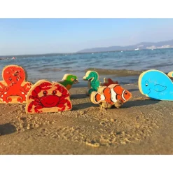 Lanka Kade Red Wooden Crab