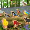 Lanka Kade Wooden Bird Set (14) with 2 FREE!
