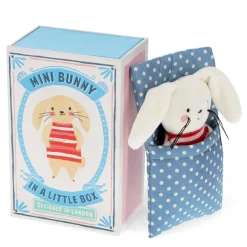 Mini Bunny in a Little Box