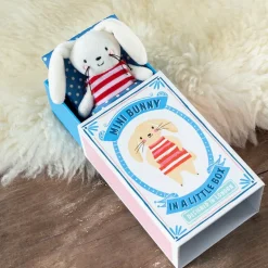 Mini Bunny in a Little Box