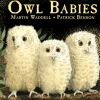 Owl Babies Board Book