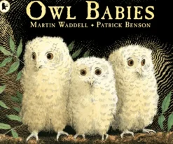 Owl Babies Board Book