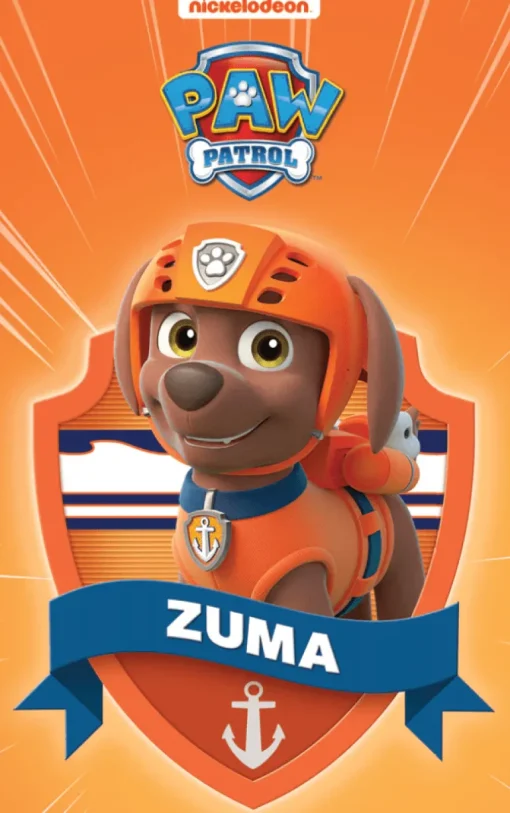 Paw Patrol Pup Pack (6 Cards) Audio Card