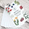Playful Little Readers British Foraging flashcards