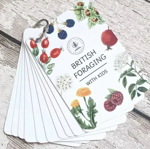 Playful Little Readers British Foraging flashcards