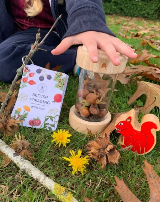 Playful Little Readers British Foraging flashcards