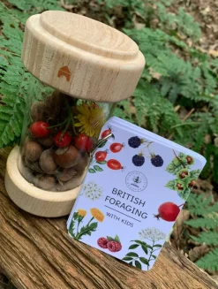 Playful Little Readers British Foraging flashcards