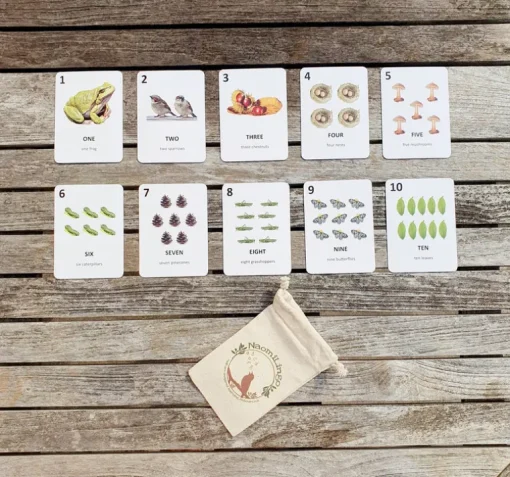 Questions and Answers about Nature Board Book