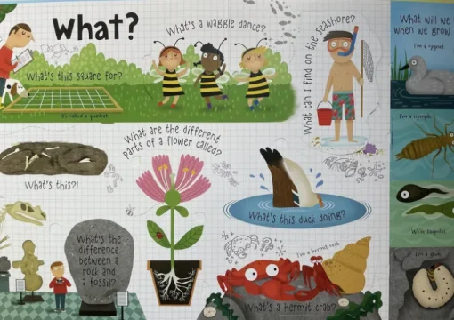 Questions and Answers about Nature Board Book