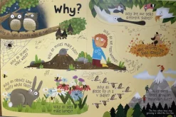 Questions and Answers about Nature Board Book