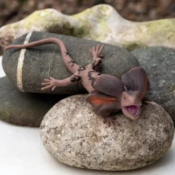 Realistic Frill-Necked Lizard Toy