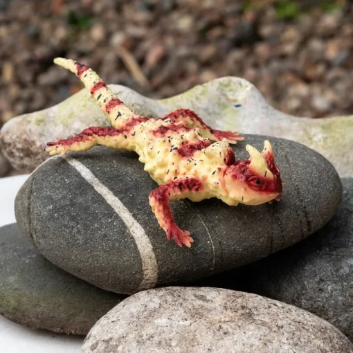 Realistic Horned Lizard Toy