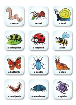 Seekers MiniBeasts Scavenger Hunt Game
