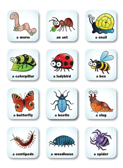 Seekers MiniBeasts Scavenger Hunt Game