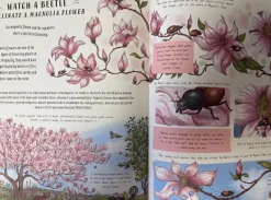 Slow Down and be here Now Nature Book