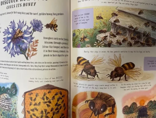 Slow Down and be here Now Nature Book