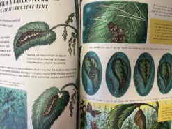 Slow Down and be here Now Nature Book