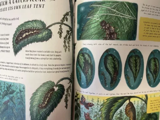 Slow Down and be here Now Nature Book