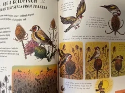 Slow Down and be here Now Nature Book