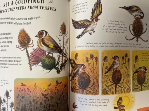 Slow Down and be here Now Nature Book