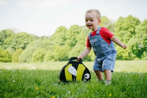 Tum Tum Insulated Lunch Box (Bee)